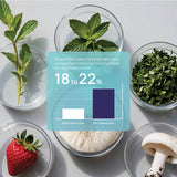 MindFlex + DreamOn Bundle